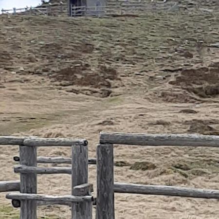 Fruhstuckspension Bischof I D Wiesen Sankt Peter am Kammersberg Esterno foto