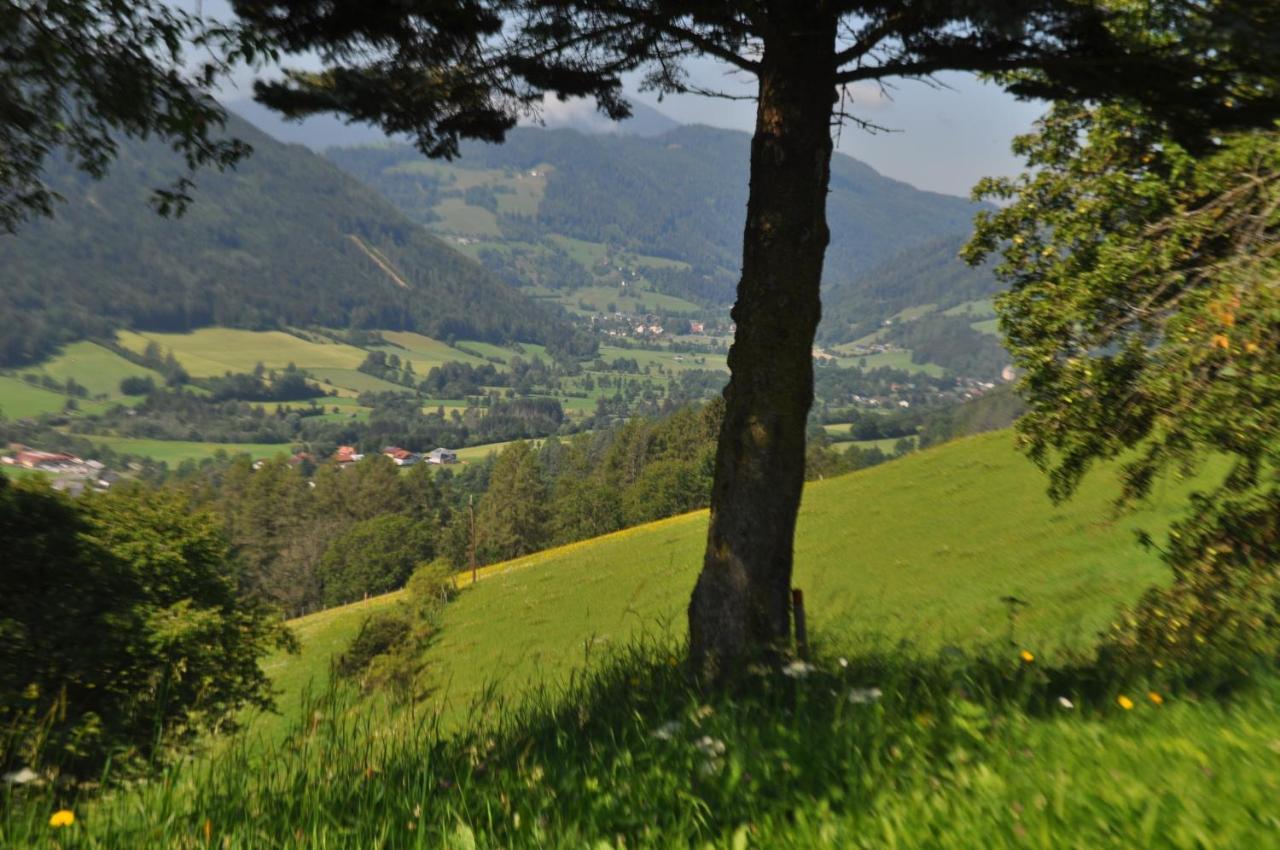 Fruhstuckspension Bischof I D Wiesen Sankt Peter am Kammersberg Esterno foto