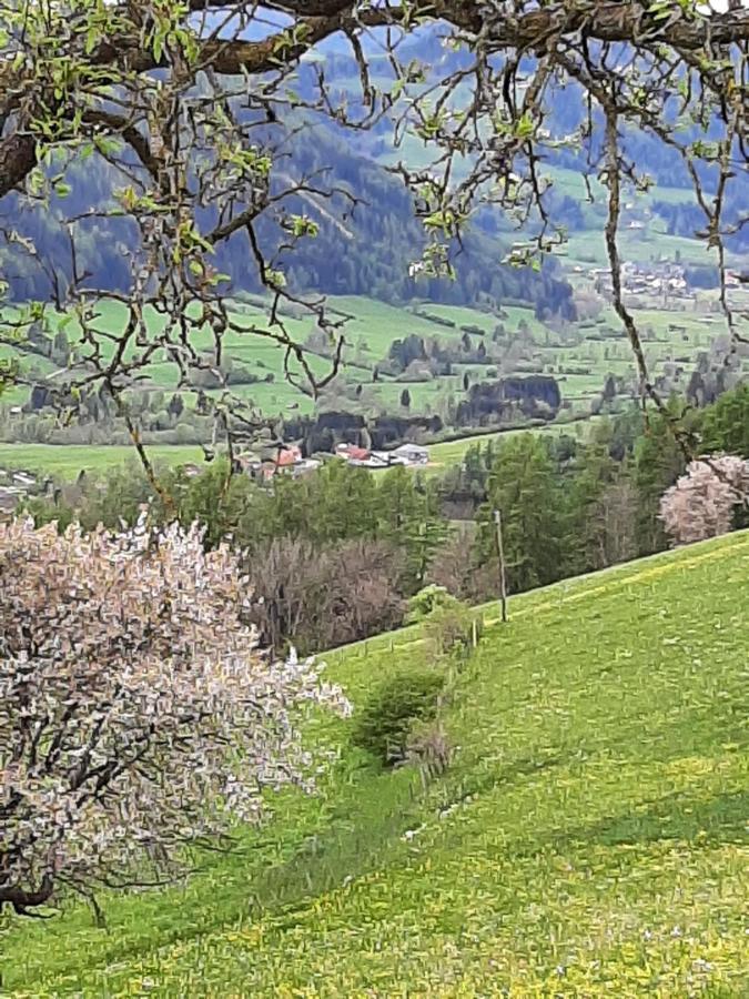 Fruhstuckspension Bischof I D Wiesen Sankt Peter am Kammersberg Esterno foto