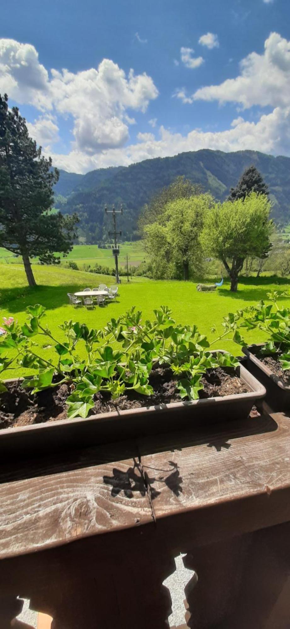 Fruhstuckspension Bischof I D Wiesen Sankt Peter am Kammersberg Esterno foto